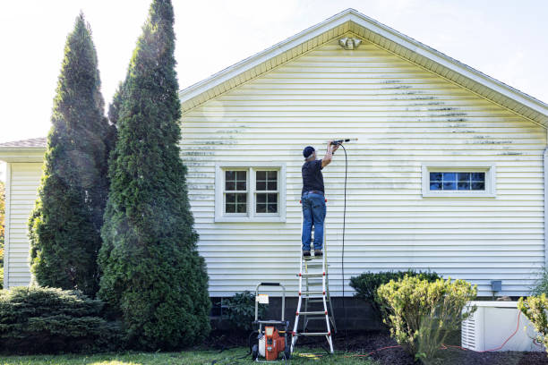 Best Pressure Washing Company Near Me  in Linden, NJ